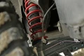 803316_7.webp