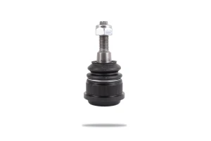Sworzeń wahacza Ford Fairlane 1999-2000 AU (Sedan GHIA) Ford Fairlane 2000-2003